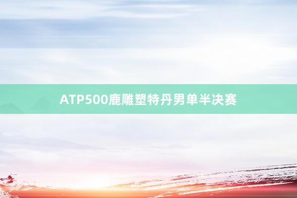 ATP500鹿雕塑特丹男单半决赛